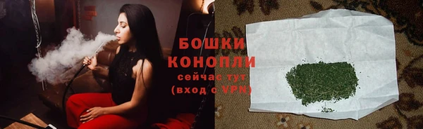 PSILOCYBIN Алексеевка